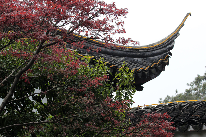 2017-04-08_131301 china-2017.jpg - Souzhou - Garten des Meisters der Netze